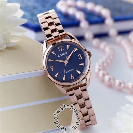 Buy Women's CITIZEN EM0688-78L Classic Watches | Original