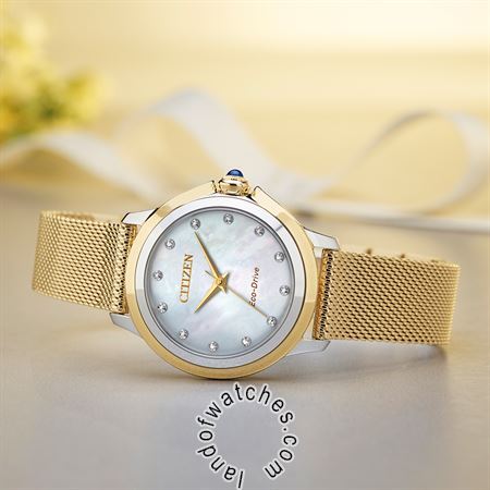 Buy Women's CITIZEN EM0794-54D Classic Watches | Original
