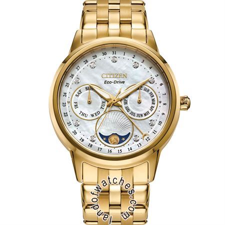 Watches Women's Fashion Watches