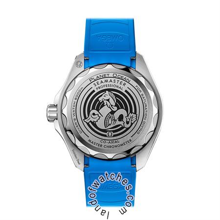 Buy OMEGA 215.32.46.21.03.001 Watches | Original