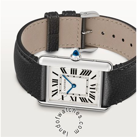 Buy CARTIER CRWSTA0059 Watches | Original