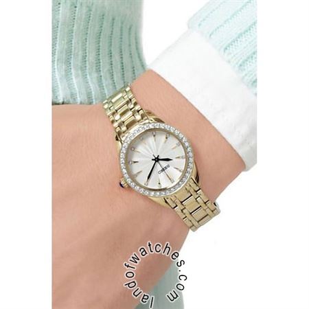 Buy Women's SEIKO SRZ386P1 Fashion Watches | Original