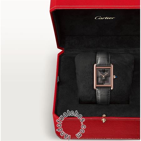 Buy CARTIER CRWGTA0092 Watches | Original