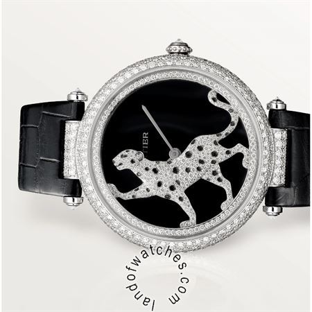 Buy CARTIER CRHPI00692 Watches | Original