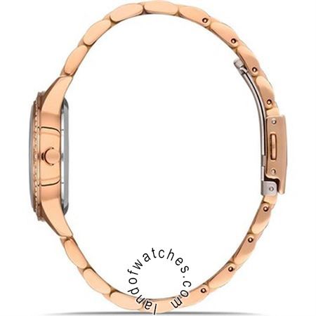 شراء ساعة معصم نسائیه دیوید غانر(David Guner) DG-8365LA-C1 موضه | | | الأصلي