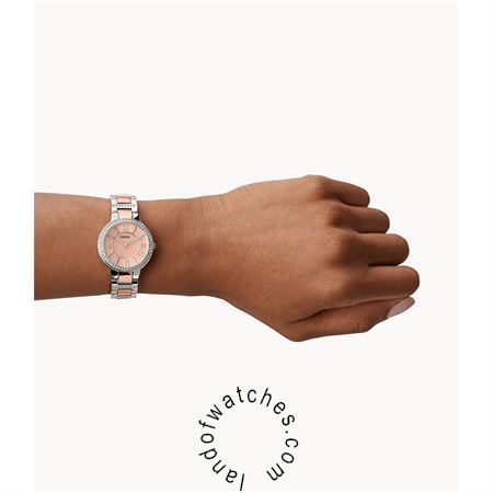 Buy Women's FOSSIL ES3405 Classic Fashion Watches | Original