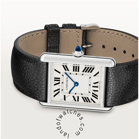 Buy CARTIER CRWSTA0041 Watches | Original