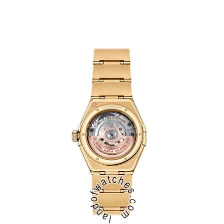 Buy OMEGA 131.55.29.20.99.002 Watches | Original