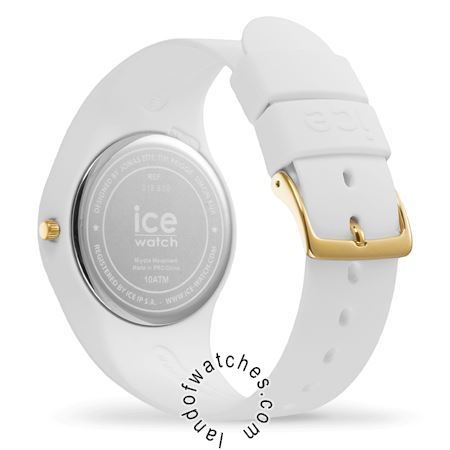 Buy ICE WATCH 19860 Watches | Original