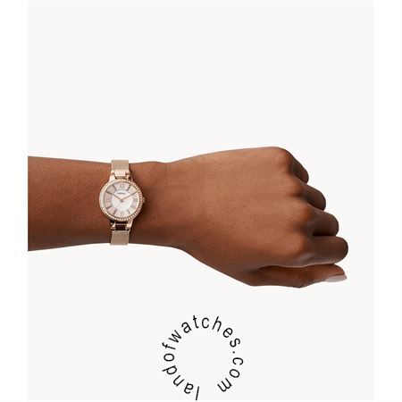 Buy Women's FOSSIL ES5111 Watches | Original