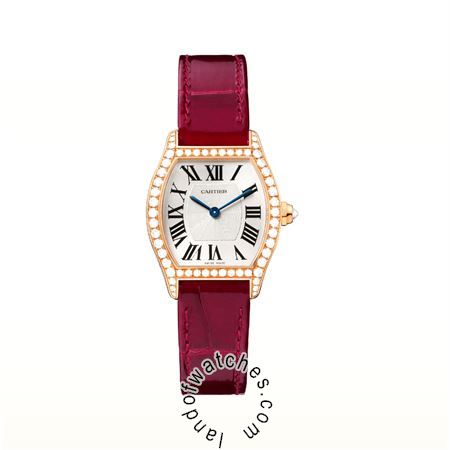 Buy CARTIER CRWA501006 Watches | Original