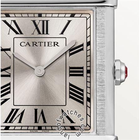 Buy CARTIER CRWGTA0074 Watches | Original