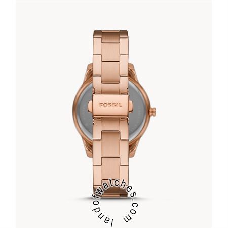 Buy Women's FOSSIL ES5109 Classic Sport Watches | Original