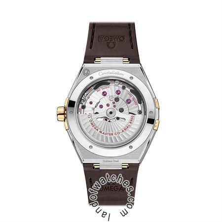 Buy OMEGA 131.23.41.21.06.002 Watches | Original