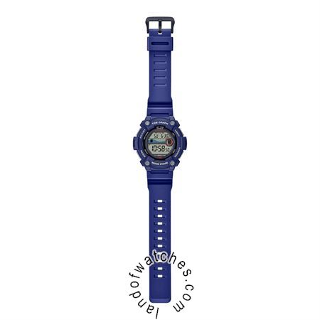 Buy CASIO WS-1300H-2AV Watches | Original