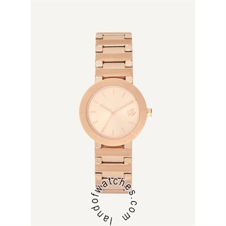 Buy DKNY NY6608 Watches | Original