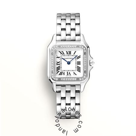 Buy CARTIER CRWJPN0007 Watches | Original