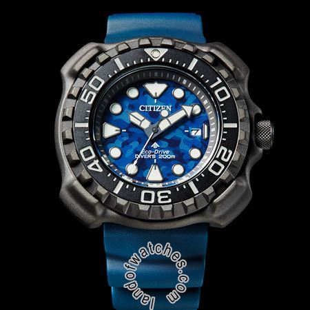 Buy Men's CITIZEN BN0227-09L Sport Watches | Original