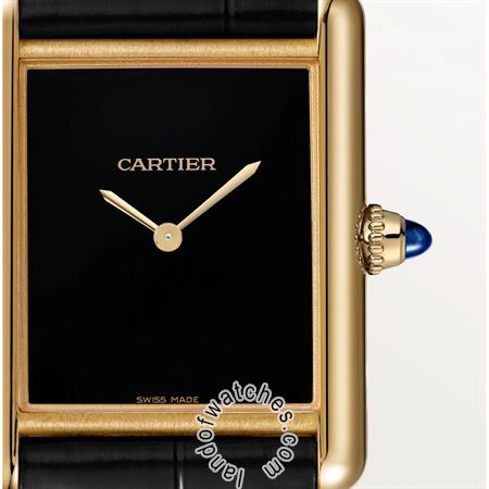 Buy CARTIER CRWGTA0091 Watches | Original