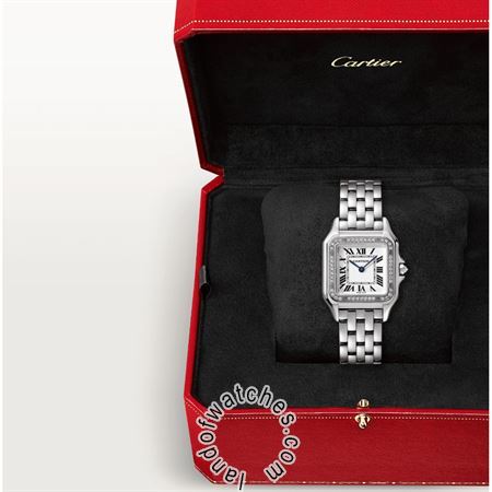 Buy CARTIER CRWJPN0007 Watches | Original