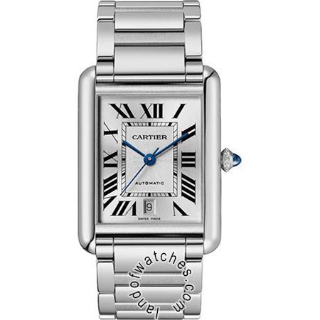 Buy CARTIER CRWSTA0053 Watches | Original