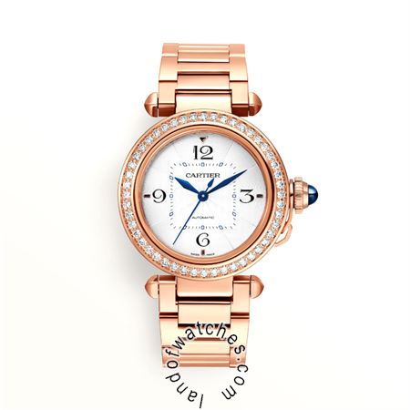 Buy CARTIER CRWJPA0013 Watches | Original