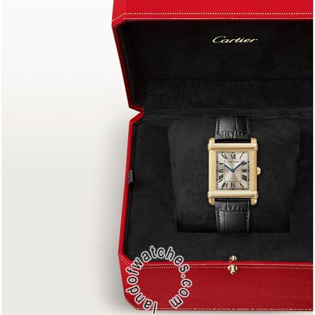 Buy CARTIER CRWGTA0088 Watches | Original