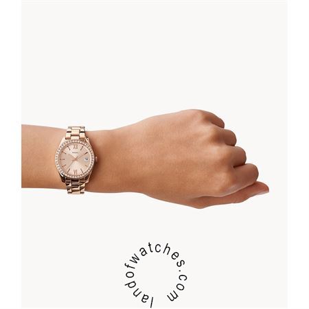 Buy Women's FOSSIL ES4318 Classic Watches | Original