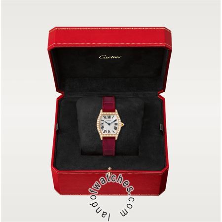 Buy CARTIER CRWA501006 Watches | Original