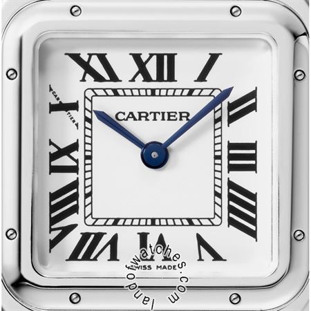 Buy CARTIER CRWSPN0007 Watches | Original
