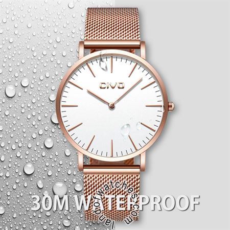 Buy CIVO 0054C Watches | Original