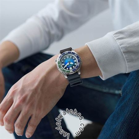 Buy Men's CITIZEN BN0166-01L Sport Watches | Original