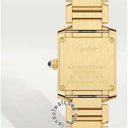 Buy CARTIER CRWGTA0031 Watches | Original