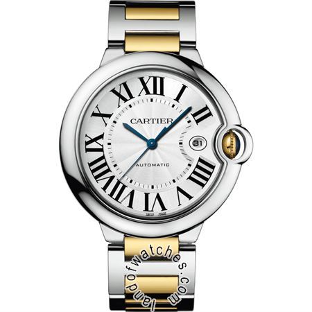 Buy CARTIER CRW2BB0031 Watches | Original