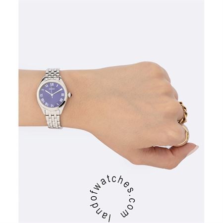 Buy Women's SEIKO SUR329P1 Classic Watches | Original