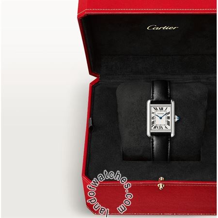 Buy CARTIER CRWSTA0060 Watches | Original