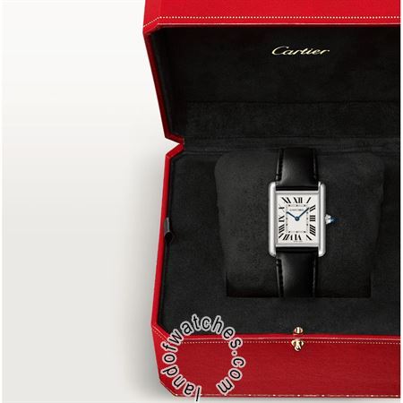 Buy CARTIER CRWSTA0059 Watches | Original