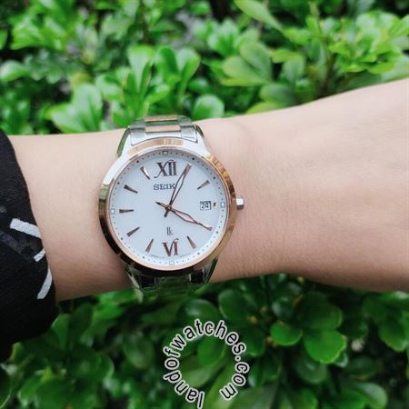 Buy Women's SEIKO SUT390J1 Classic Watches | Original