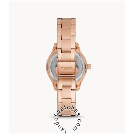 Buy Women's FOSSIL ME3211 Classic Fashion Watches | Original
