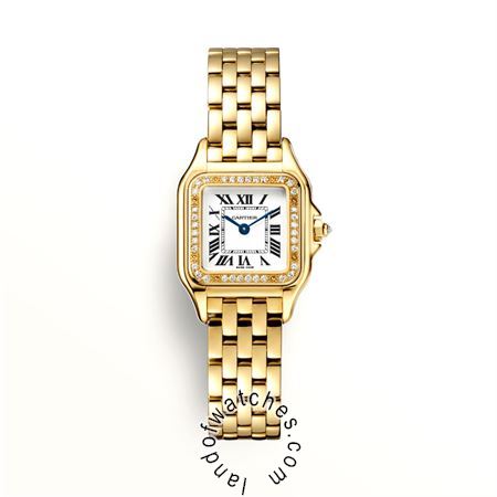 Buy CARTIER CRWJPN0015 Watches | Original
