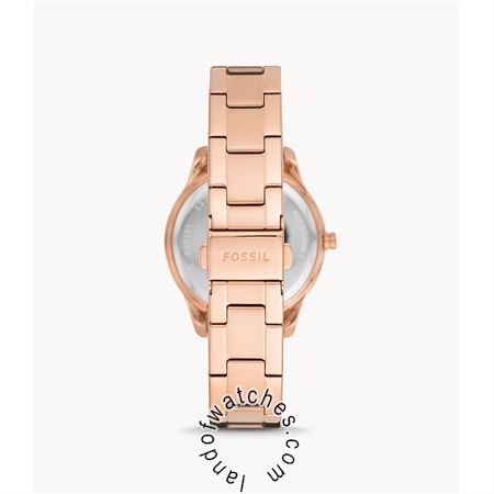 Buy Women's FOSSIL ES5131 Fashion Watches | Original