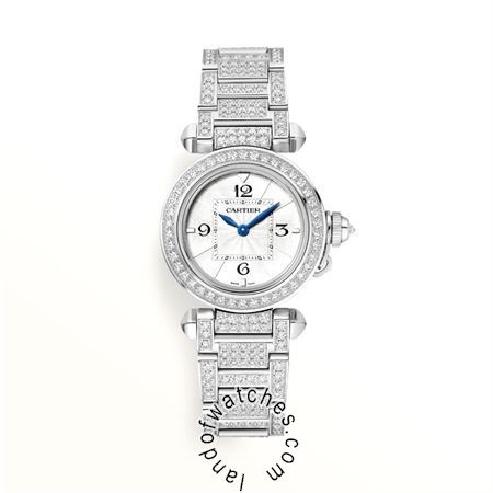 Buy CARTIER CRWJPA0019 Watches | Original