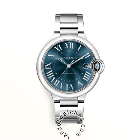 Buy CARTIER CRWSBB0061 Watches | Original