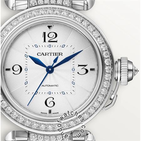 Buy CARTIER CRWJPA0014 Watches | Original