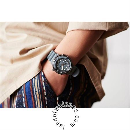 Buy Men's SEIKO SRPE31J1 Sport Watches | Original