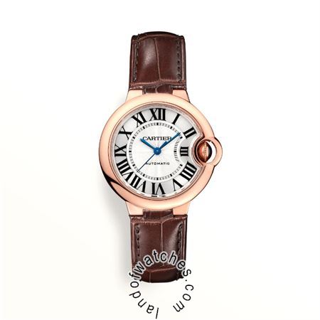 Buy CARTIER CRW6920097 Watches | Original