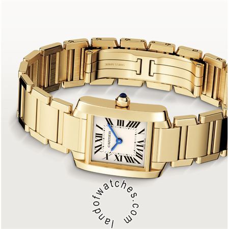 Buy CARTIER CRWGTA0031 Watches | Original