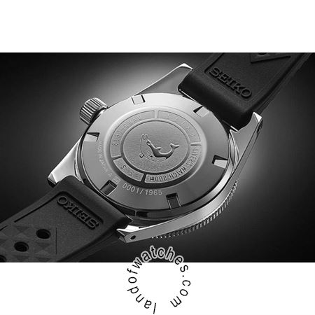 Buy Men's SEIKO SJE093J1 Sport Watches | Original