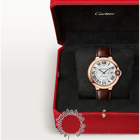 Buy CARTIER CRWGBB0035 Watches | Original