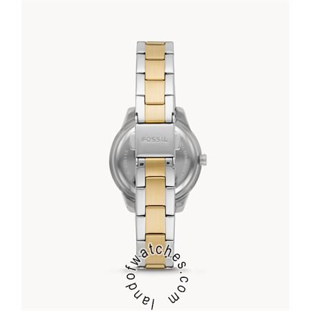 Buy Women's FOSSIL ES5138 Fashion Watches | Original